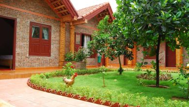 Thủ tục kinh doanh homestay