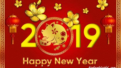 Kinh doanh khách sạn dịp Tết cổ truyền 2019