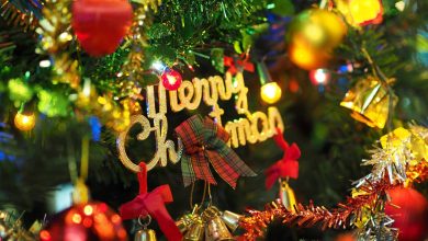 Trang trí cây thông Noel