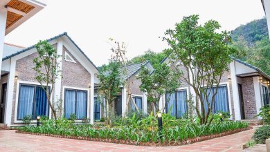 Kinh doanh Homestay - Tam Cốc Golden Rice