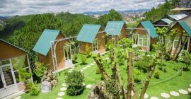 10 Homestay Đà Lạt Gần Trung Tâm Du Khách Cần Biết