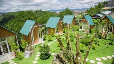 10 Homestay Đà Lạt Gần Trung Tâm Du Khách Cần Biết