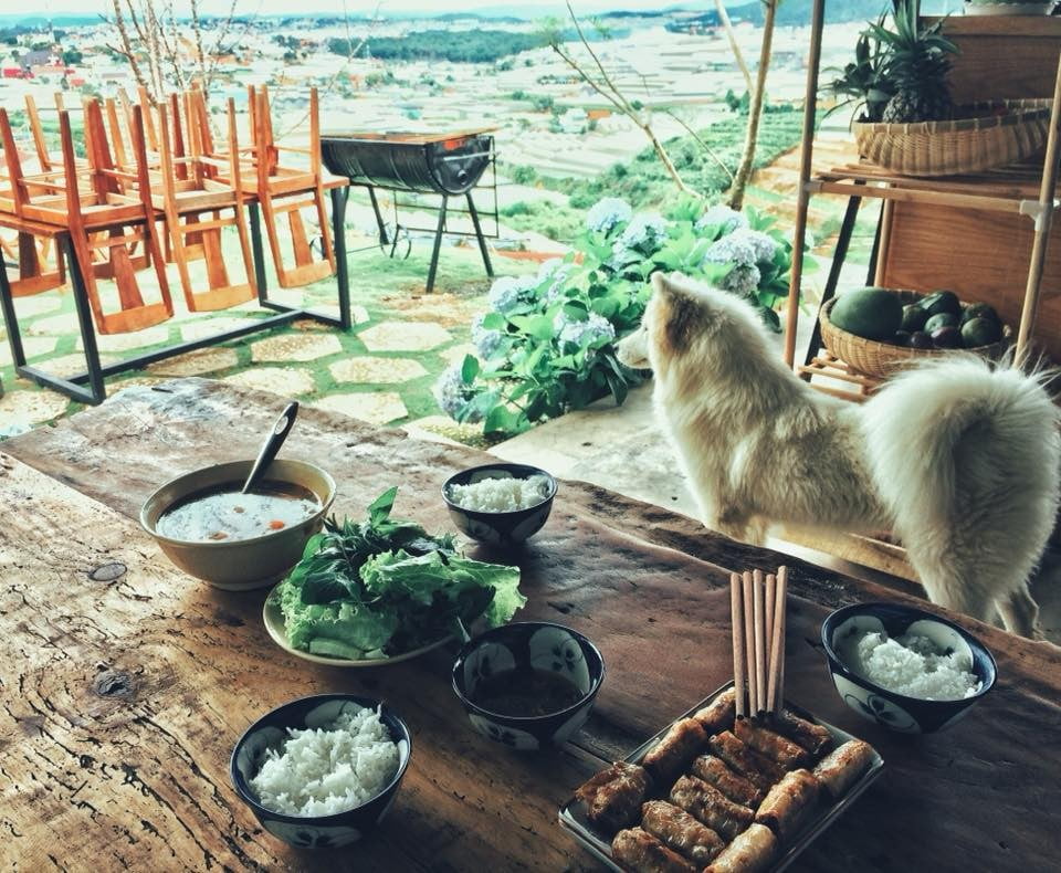 Top 10 homestay Đà Lạt view đồi núi