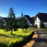 homestay đà lạt giá rẻ view đẹp