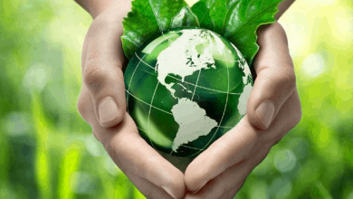 4 giải pháp giúp khách sạn thân thiện với môi trường