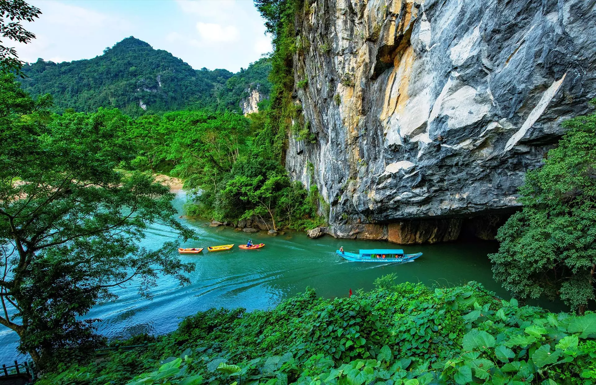 động phong nha quảng bình