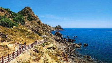 Kinh nghiệm du lịch Quy Nhơn tự túc từ A đến Z mới nhất 2019
