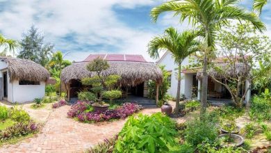 4 mô hình homestay được lựa chọn nhiều nhất hiện nay