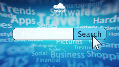Chien luoc marketing metasearch