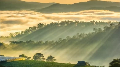 điểm du lịch đà lạt