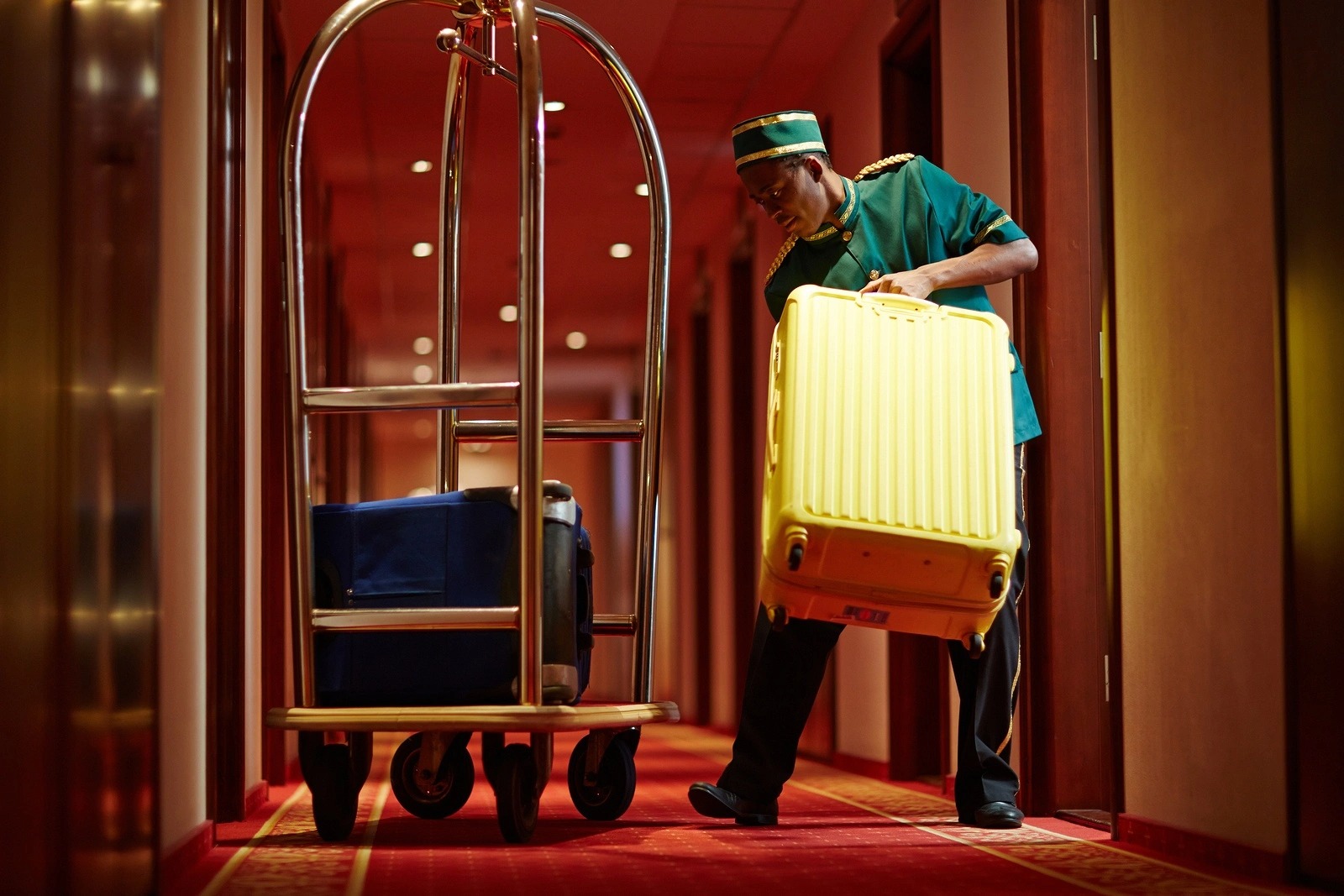 bellman 2