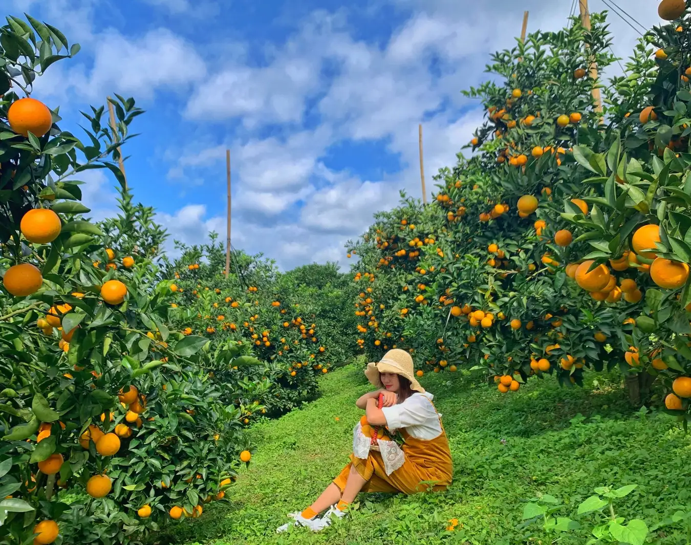 chụp ảnh tại vườn trái cây cần thơ