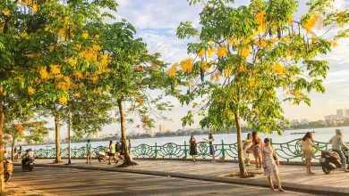 địa điểm check in hồ tây