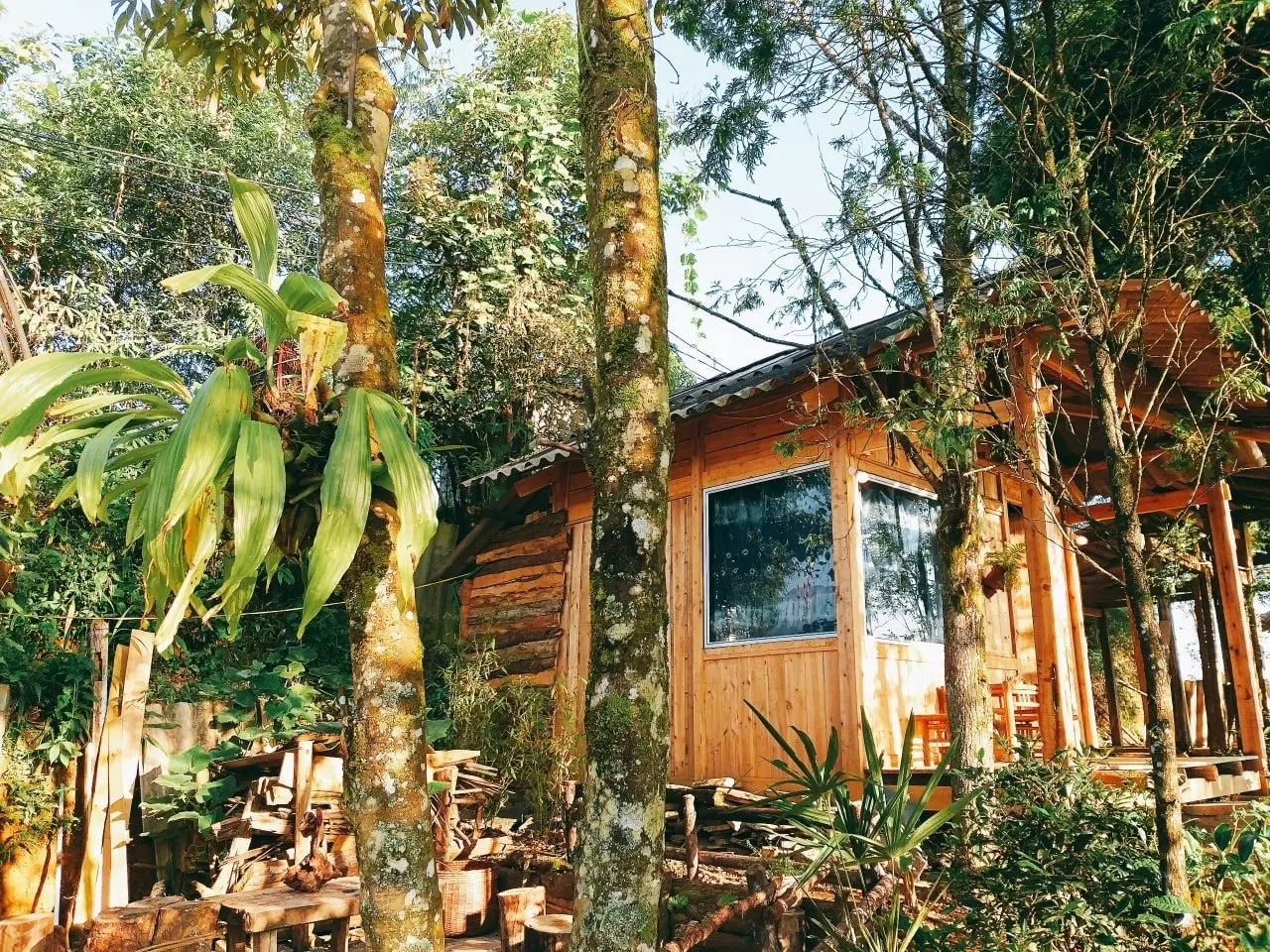 cận cảnh sapa jungle homestay