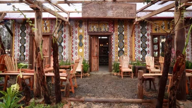 phong cách thiết kế độc đáo sóc's house
