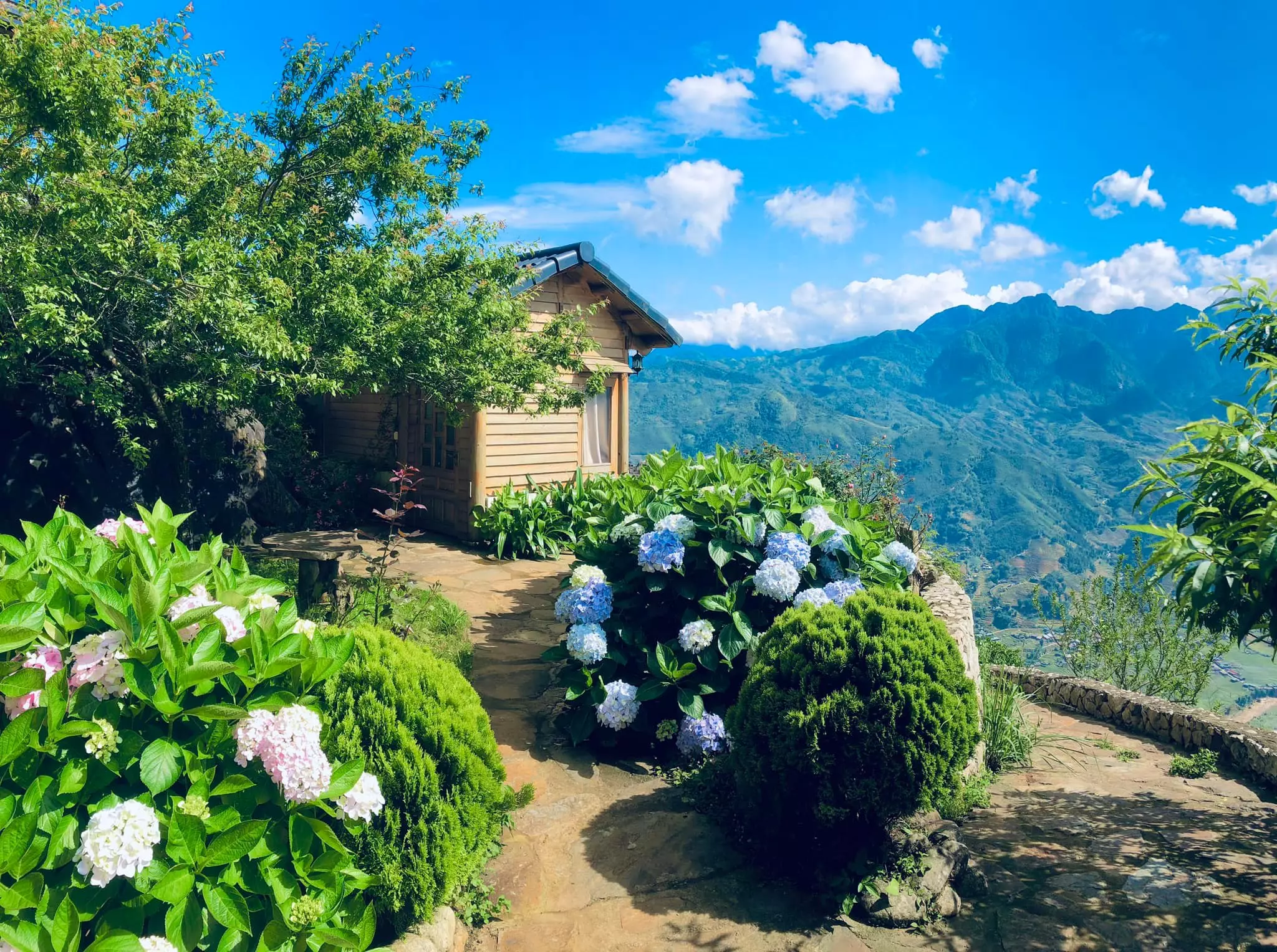 vườn hoa tại rock garden sapa