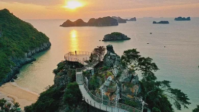 địa điểm check in hải phòng