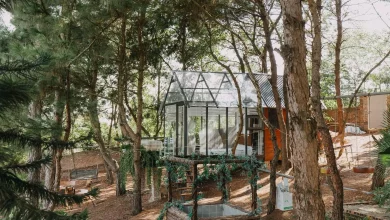 villa ở sóc sơn