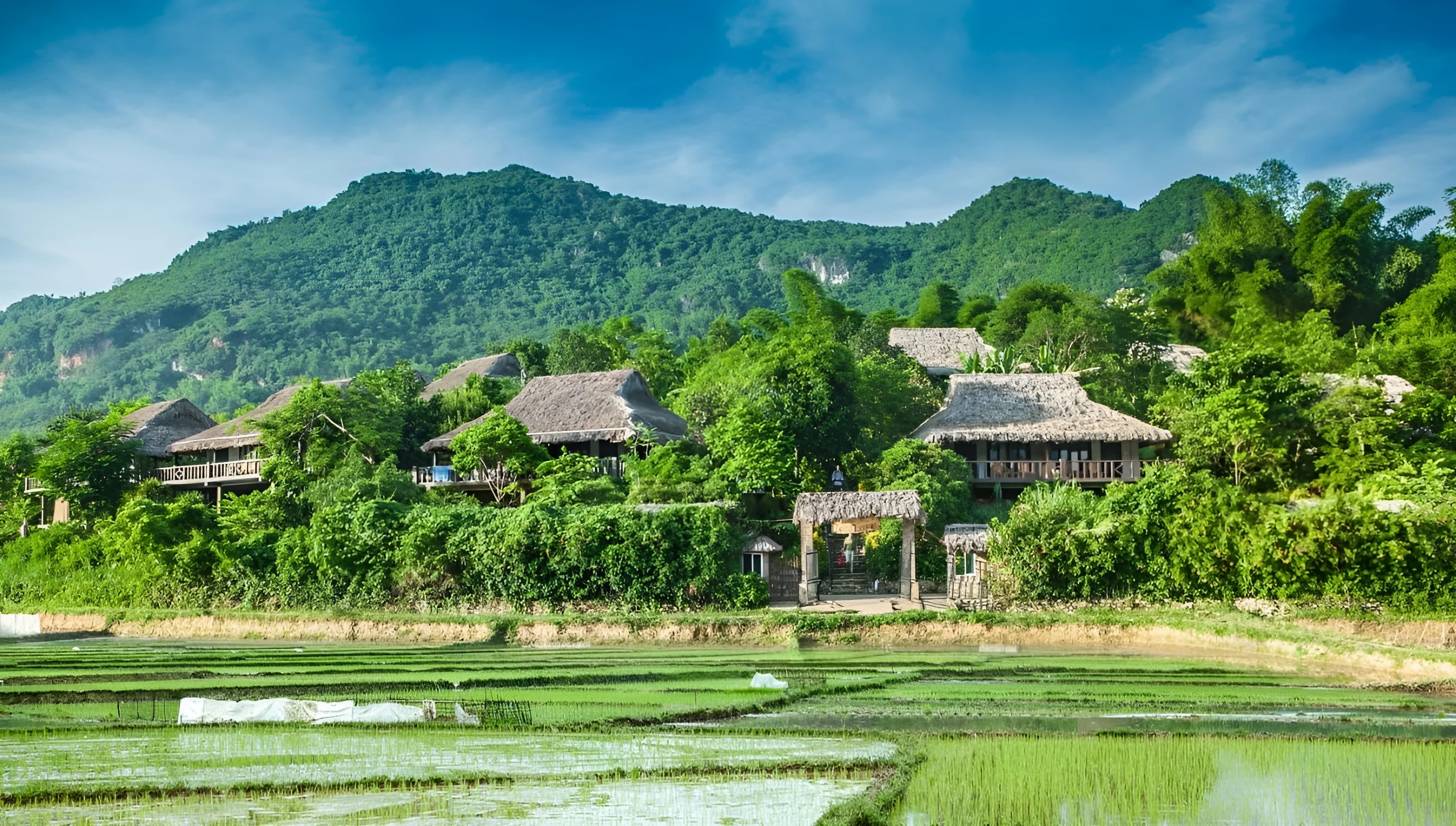 không gian xanh tại mai châu ecolodge