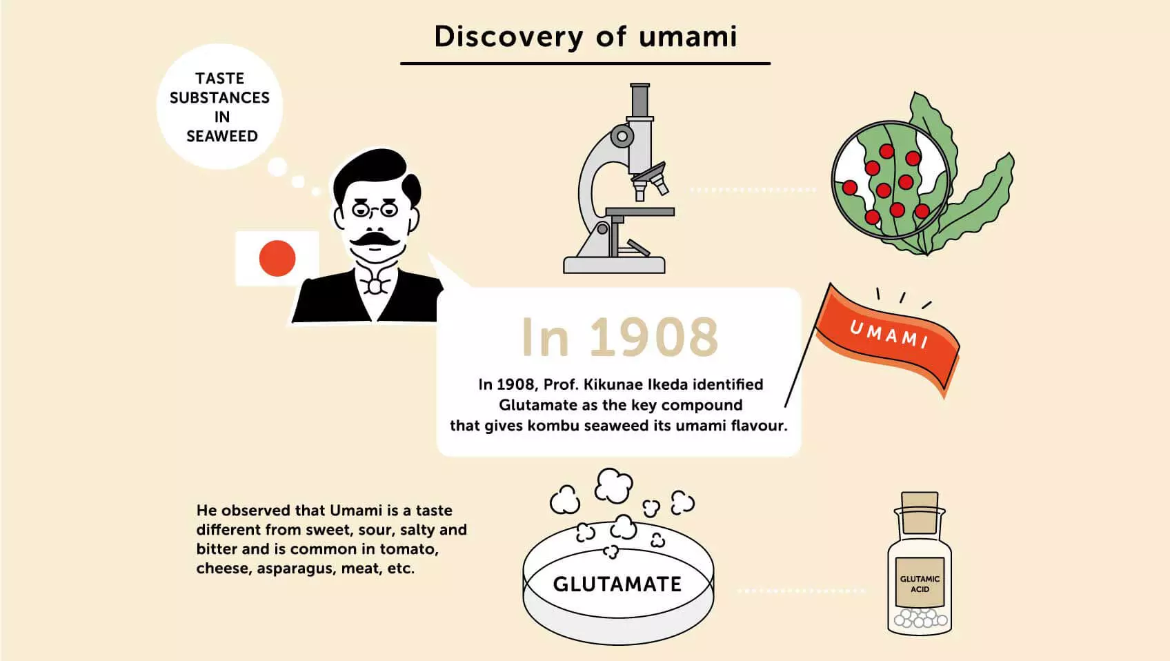 lịch sử ra đời vị umami