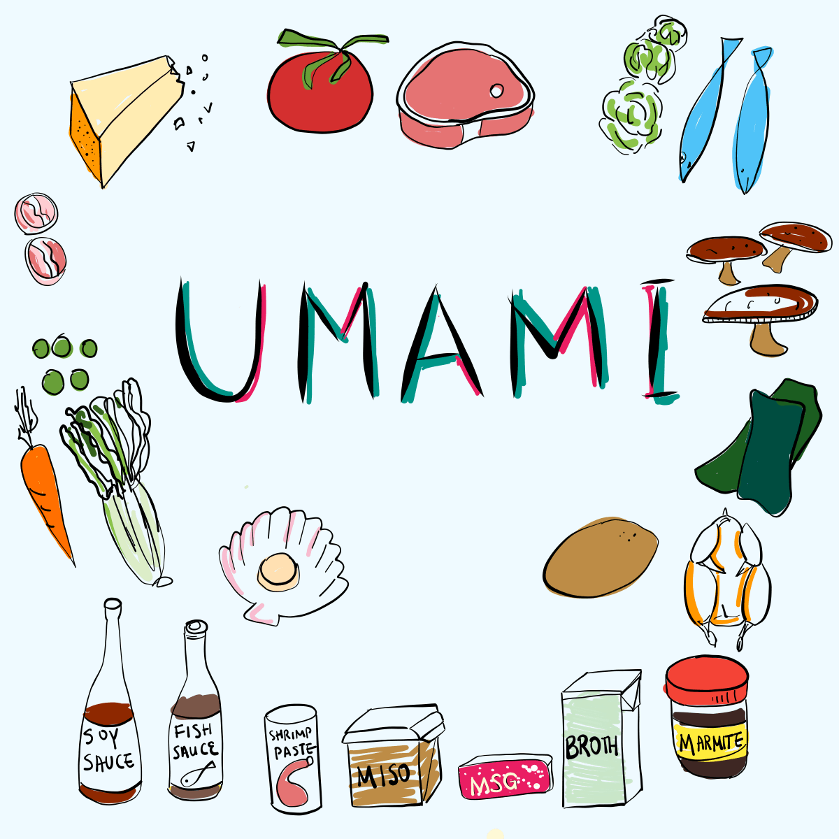 umami là gì