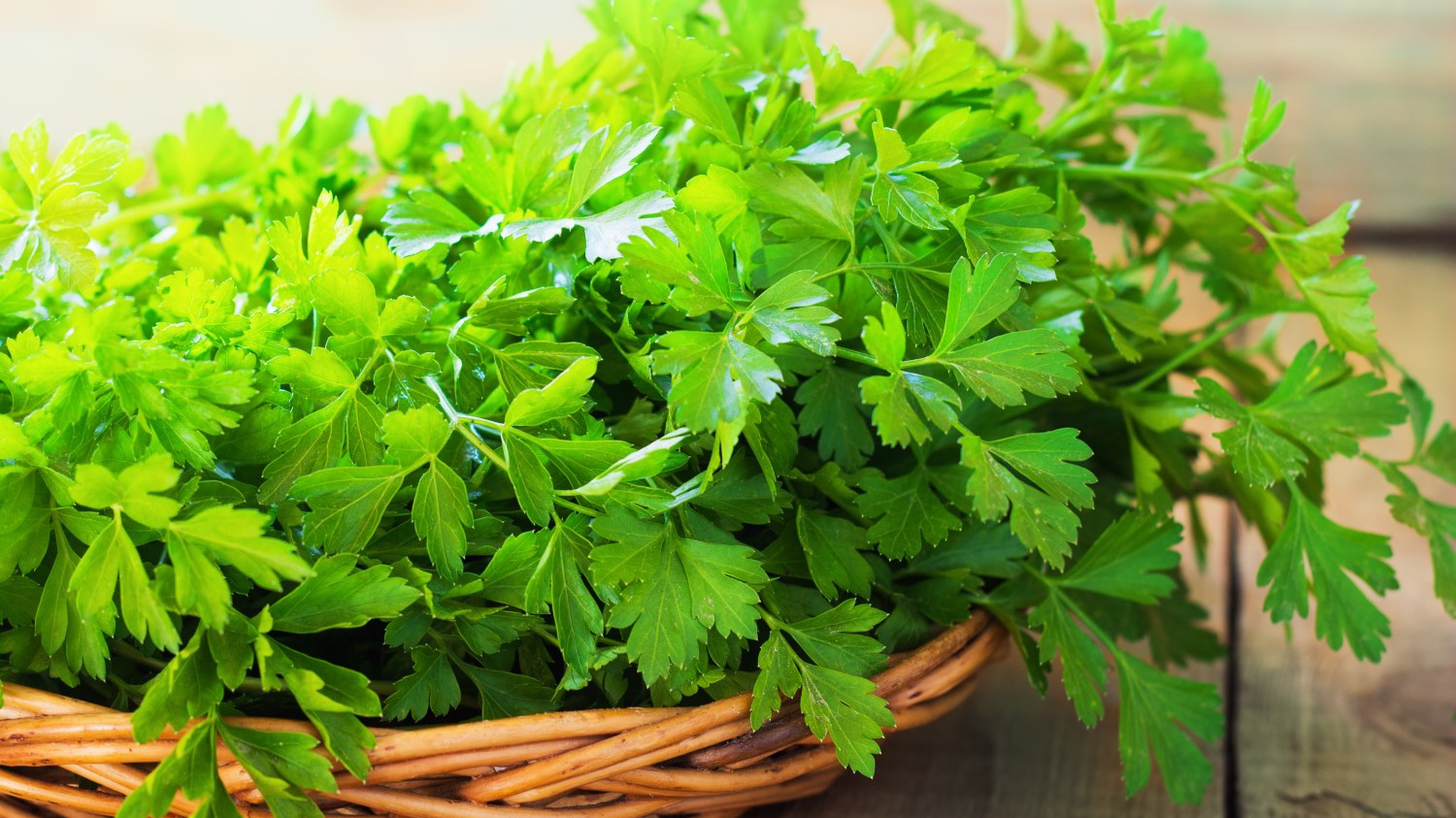 định nghĩa parsley là gì