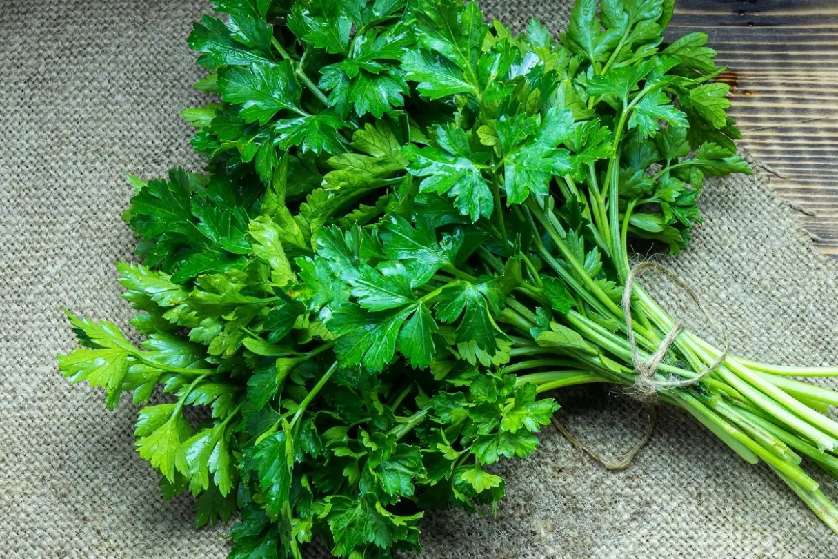 parsley là gì