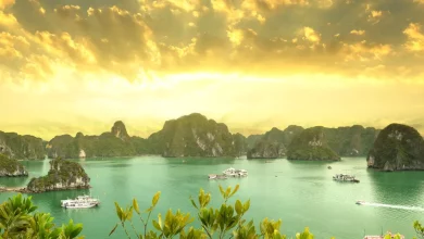 quy mô thị phần ngành du lịch đông nam á