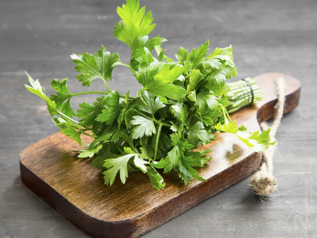 rau parsley