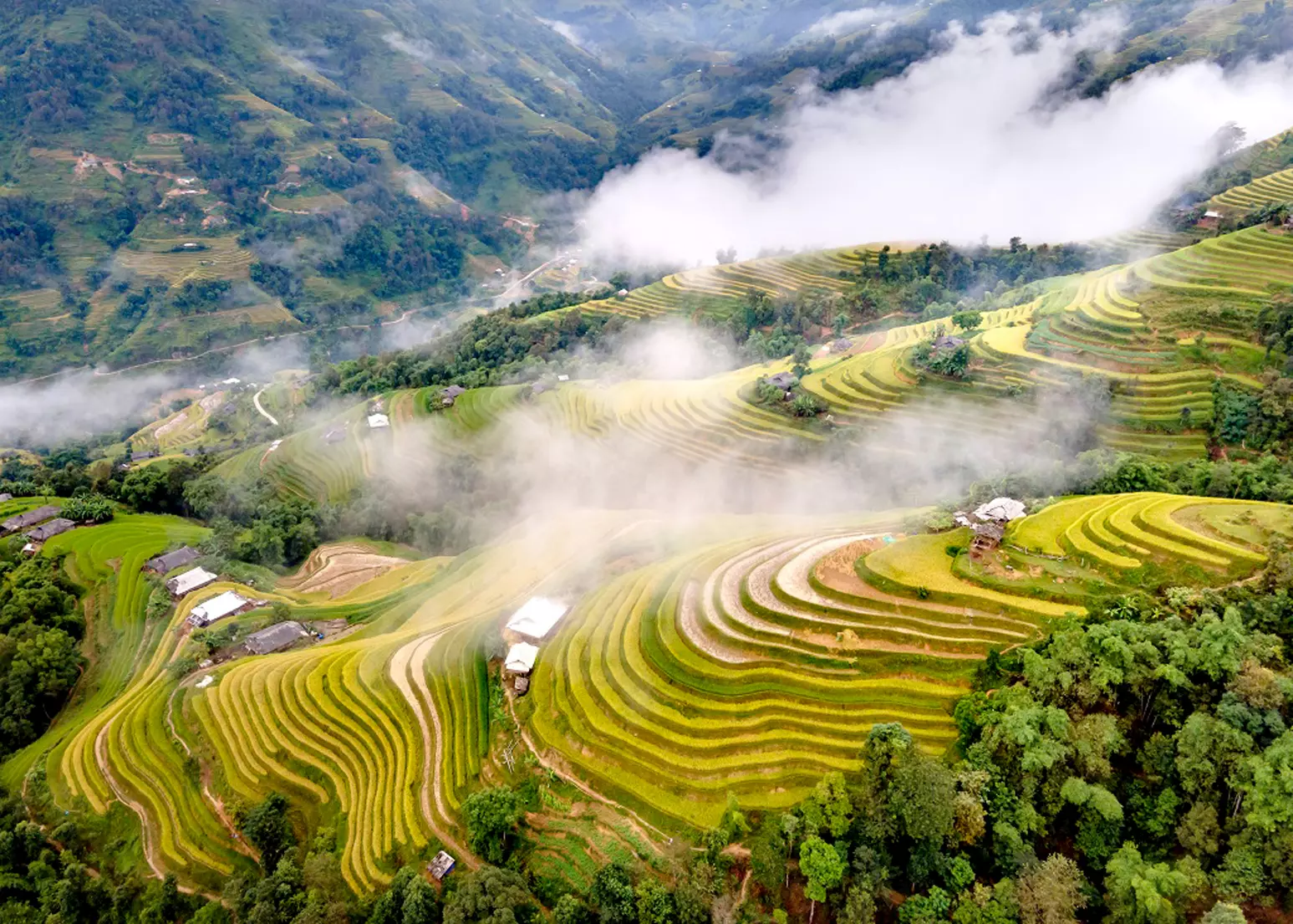 ruộng bậc thang sapa