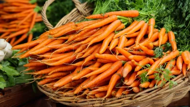 cà rốt tiếng anh là gì