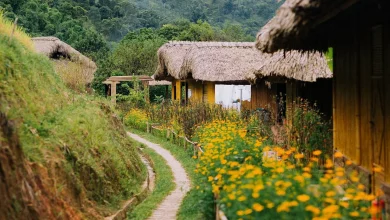 homestay ở Hà Giang