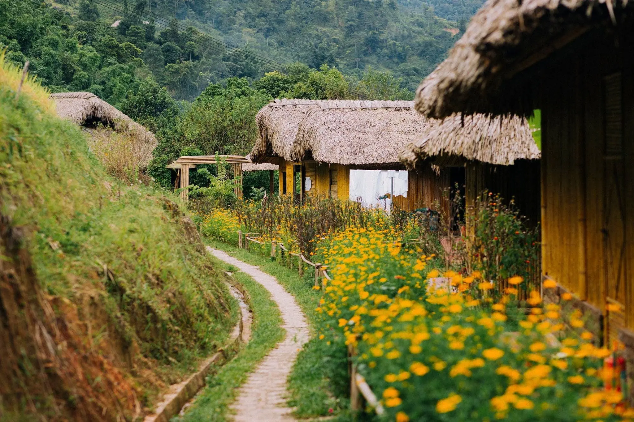 homestay ở Hà Giang