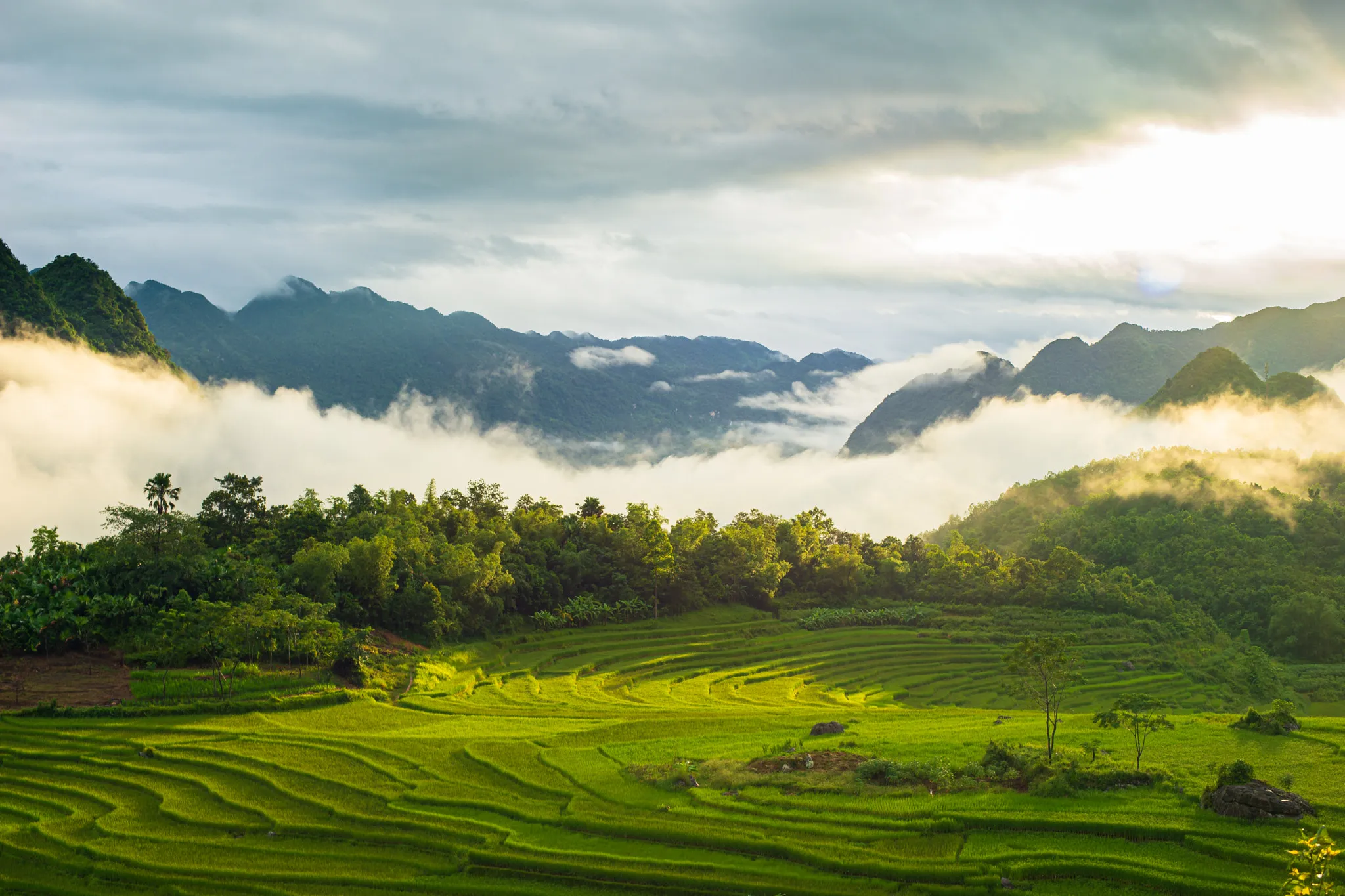 du lịch pù luông