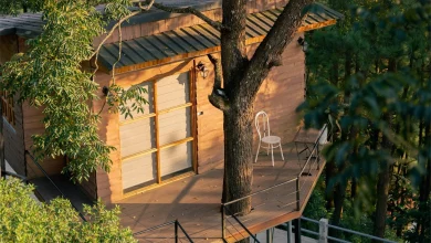 homestay ở tam đảo