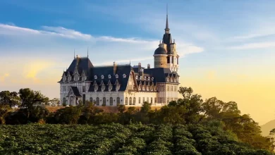 địa điểm check in tam đảo
