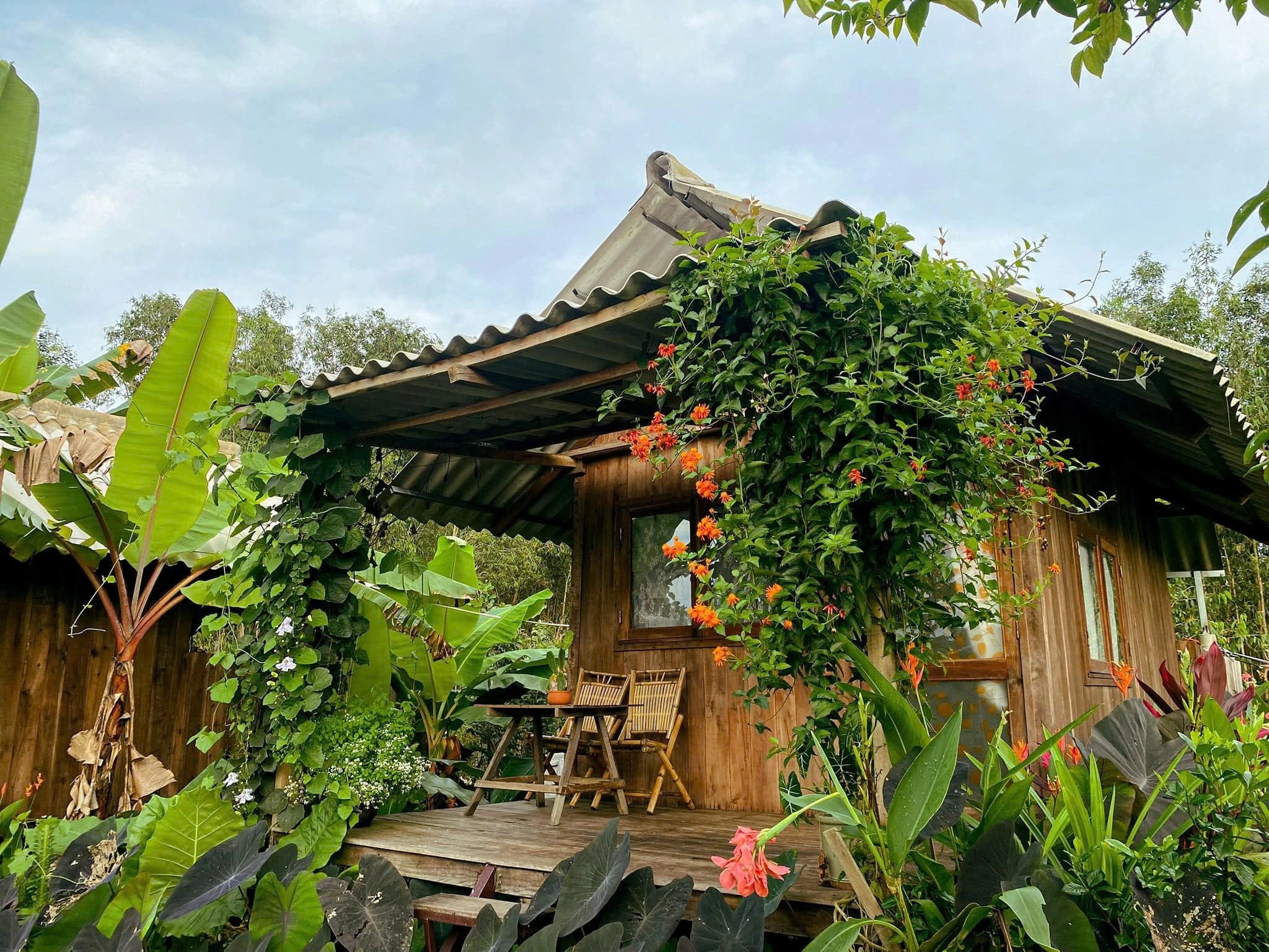 Bungalow Hoa Rừng U Minh