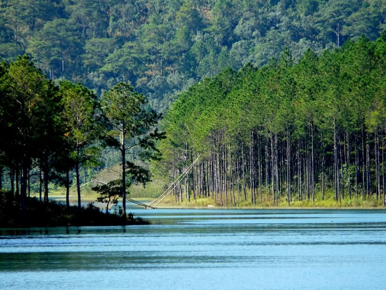 hồ tuyền lâm đà lạt