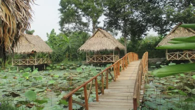 homestay ở cần thơ