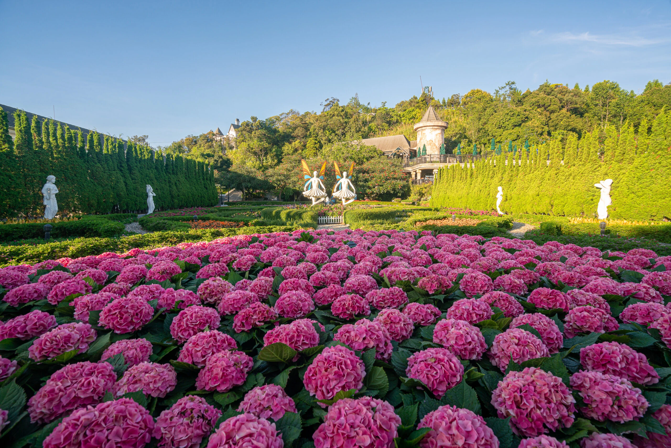 vườn hoa le jardin d amour 