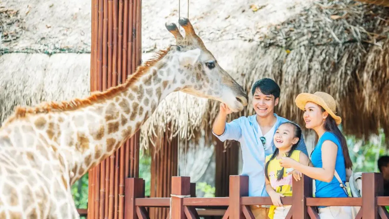 hoạt động cho động vật ăn tại safari cafe zoo