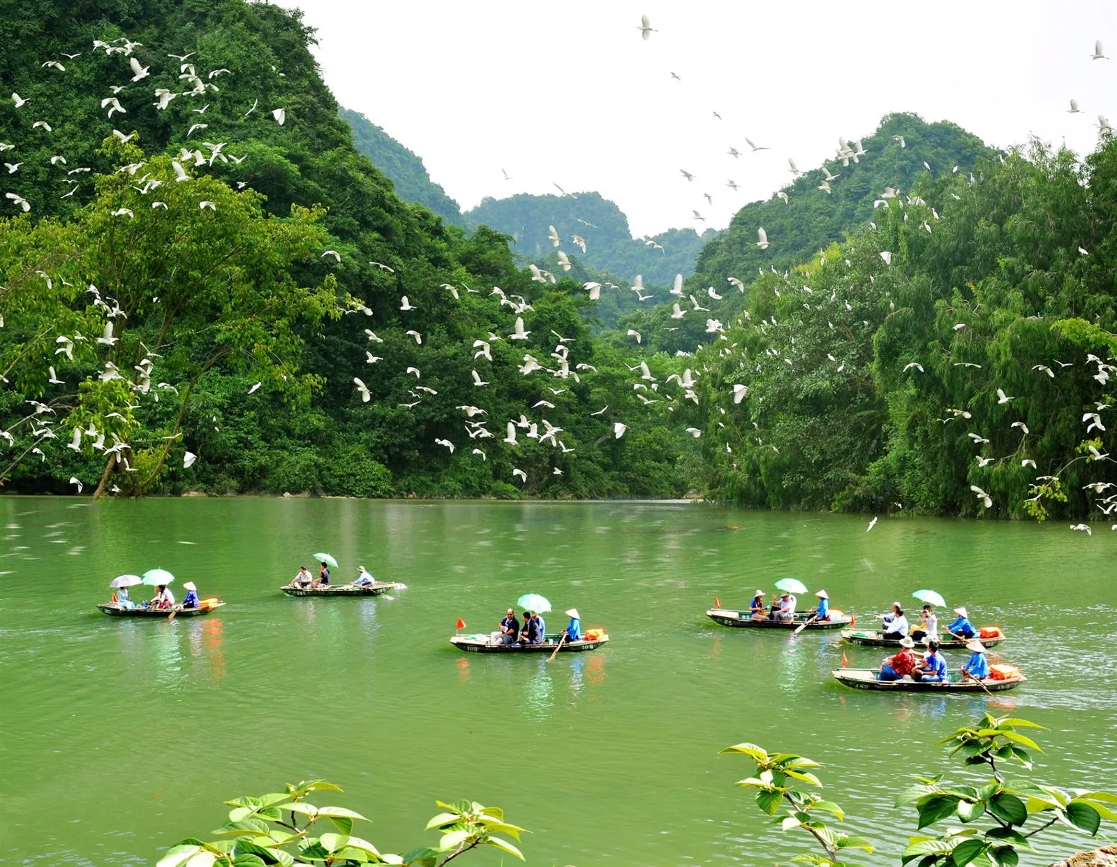 khu du lịch tam cốc bích động