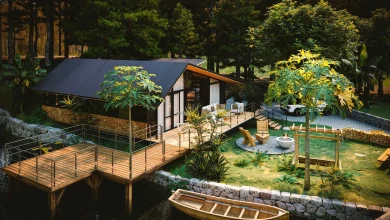 homestay ở hải phòng