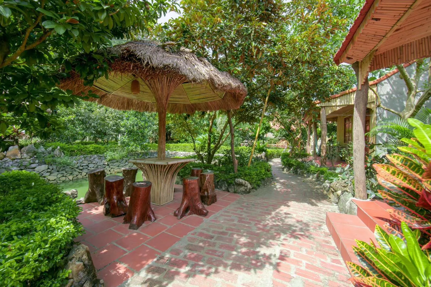 khuôn viên của lan homestay hải phòng