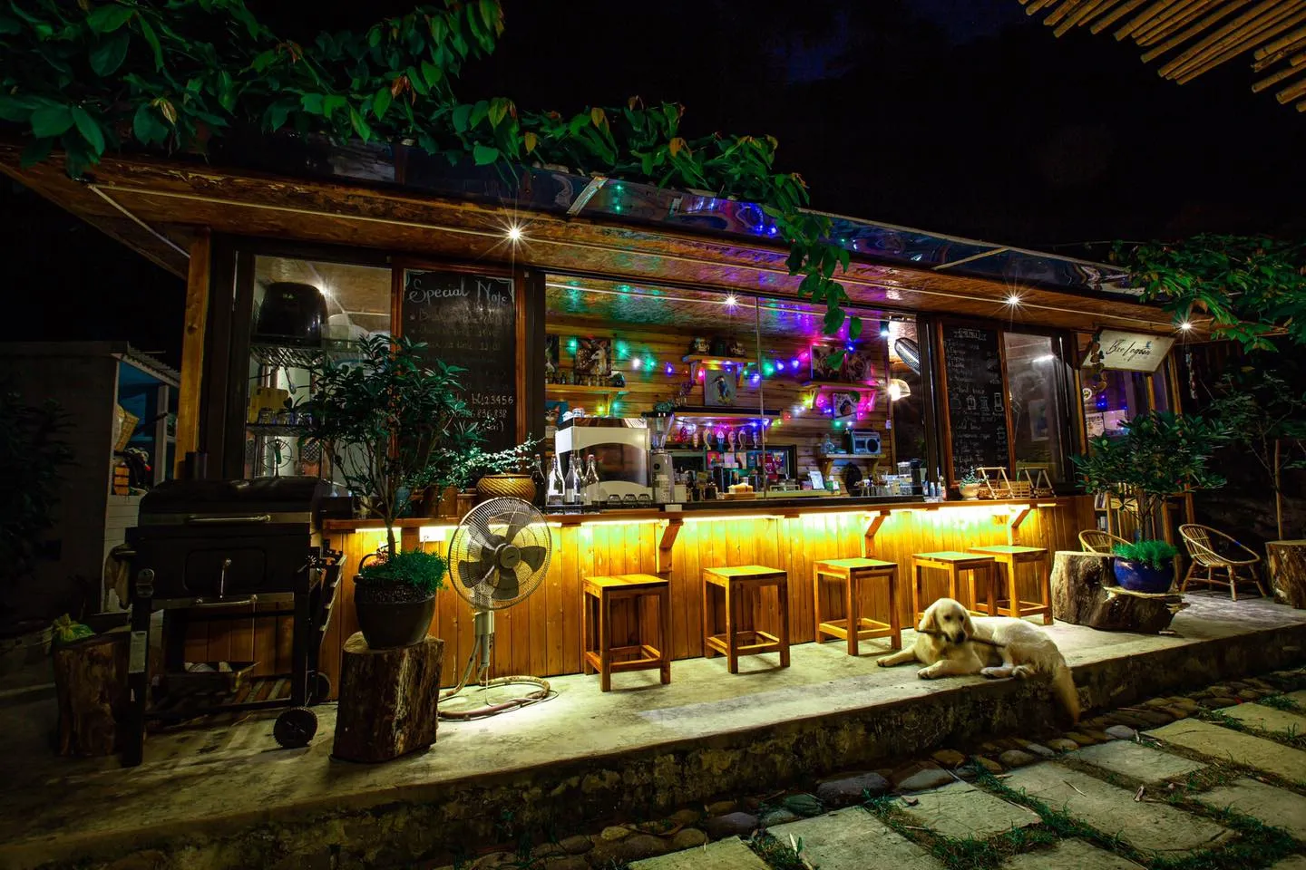 quầy bar tại little cát bà