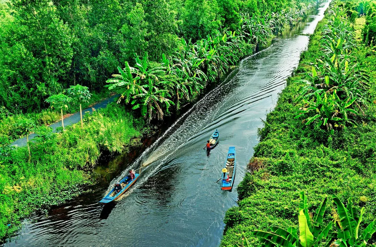 rừng u minh hạ