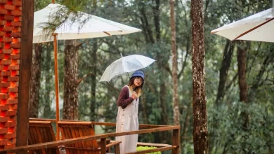 tour du lịch măng đen
