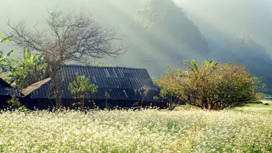 tour du lịch mộc châu