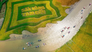 tour du lịch ninh bình