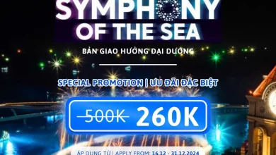 Symphony of the Sea